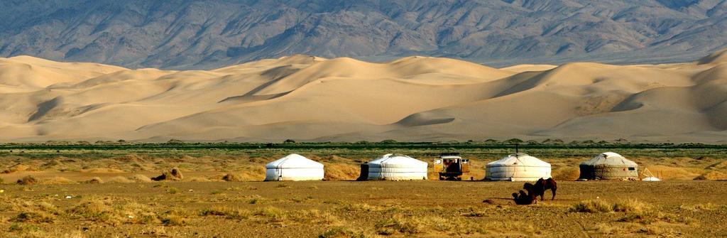 Majestic Gobi Tour Operator And Guest House Ulan Bator Eksteriør bilde